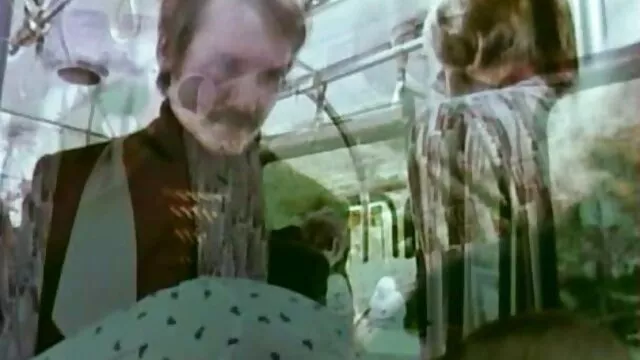 独奏，谁是爱，花式裤子 业余倾城管