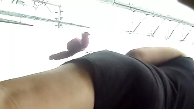 黄蜂奶萨马拉Lauys手指角 自制成熟的妻子