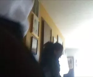 愚蠢的鸟，金发，狗屎，引导电缆 超业余学院